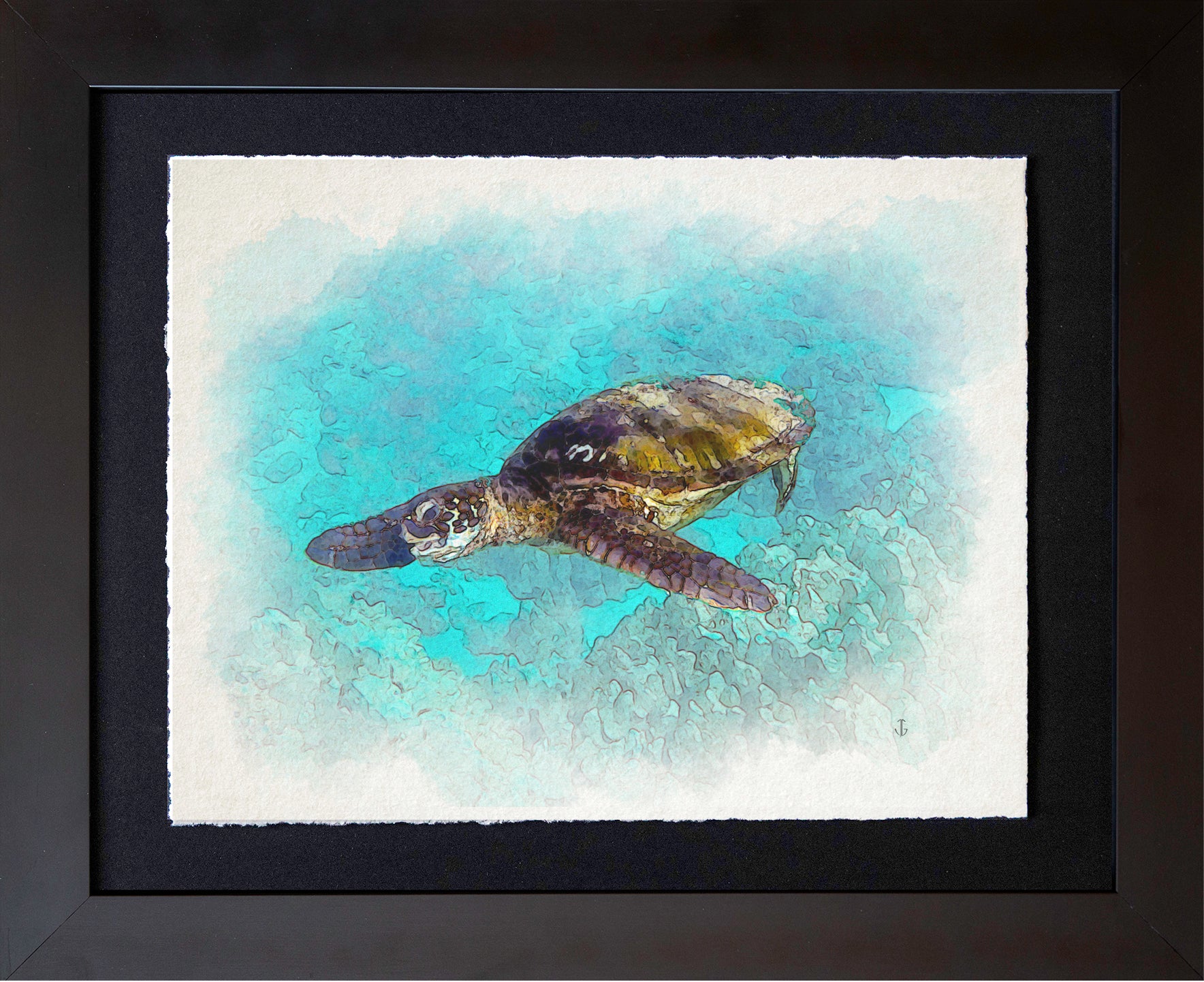 Maui, HI | Sea Turtle at Kapalua Bay