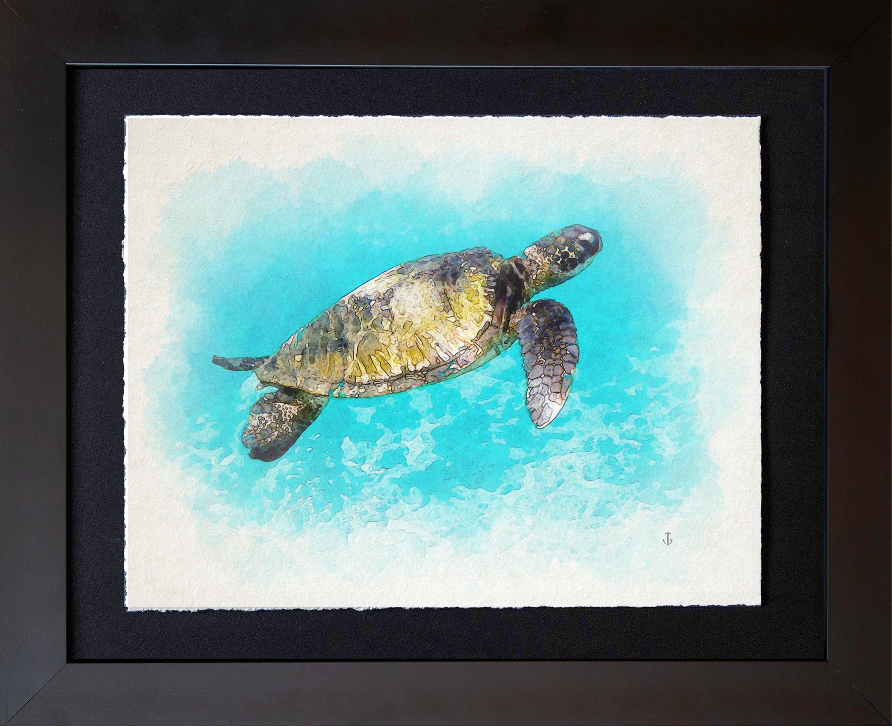 Maui, HI | Sea Turtle 3 at Kapalua Bay