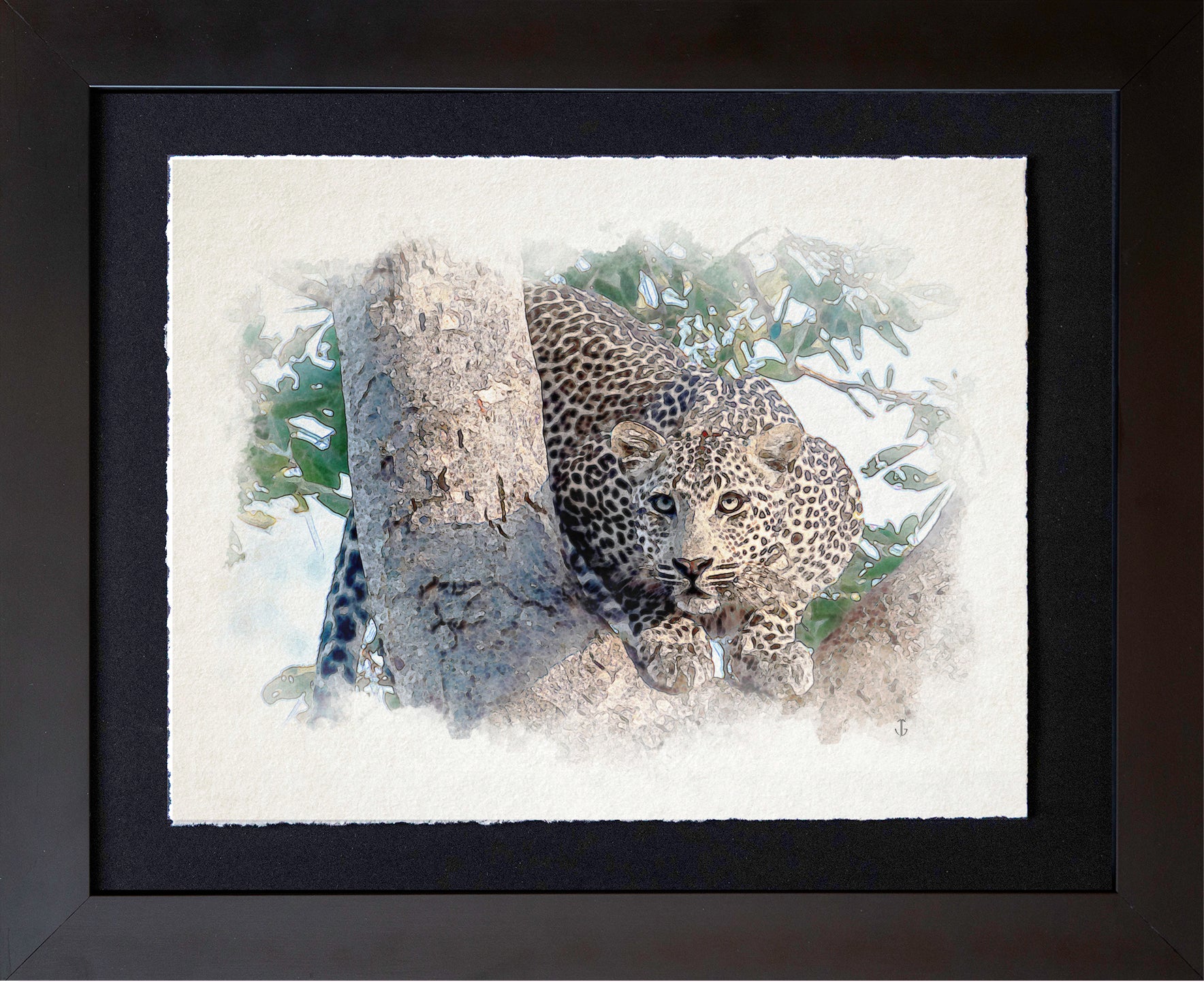 Serengeti, TZA | Treed Leopard