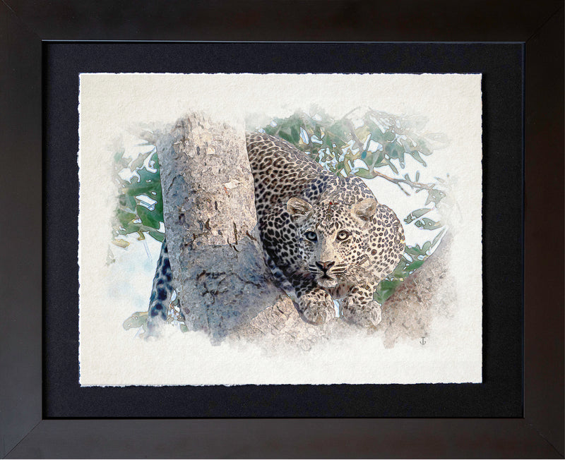 Serengeti, TZA | Treed Leopard