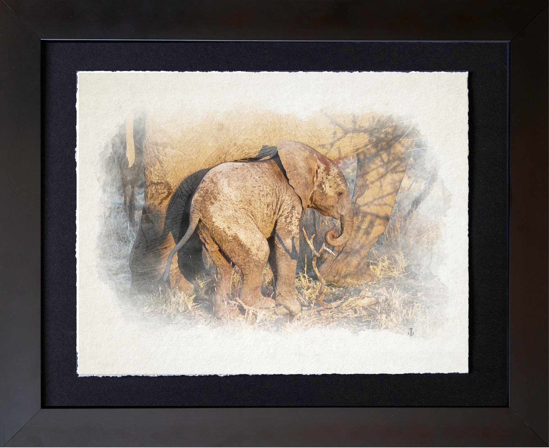 Serengeti, TZA | Baby Elephant