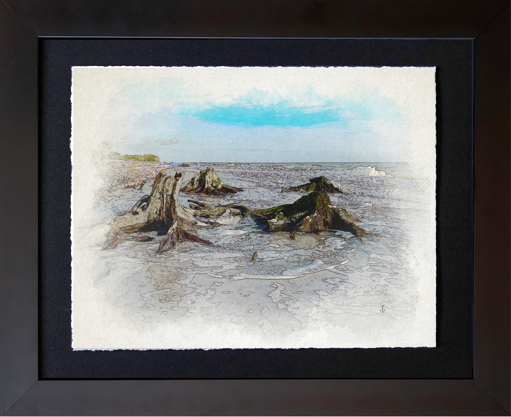 Sanibel Island, FL | Driftwood at Low Tide