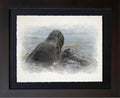 Sanibel Island, FL | Manatees Surface Study