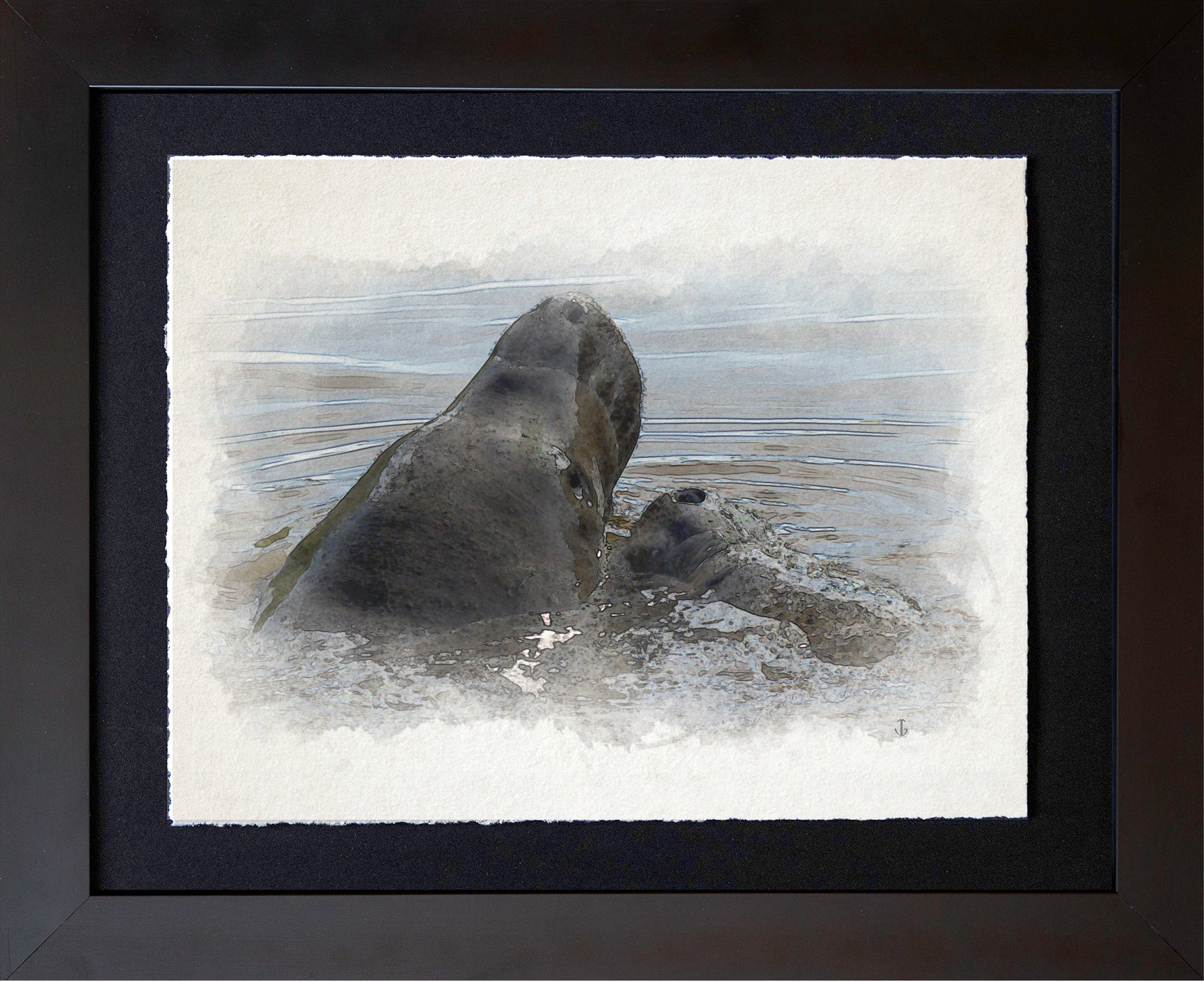 Sanibel Island, FL | Manatees Surface Study