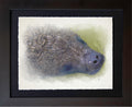 Sanibel Island, FL | Manatee Detail