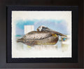 Sanibel Island, FL | Brown Pelican Resting Space