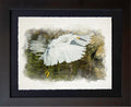 Sanibel Island, FL | Snowy Egret - Coming in Hot