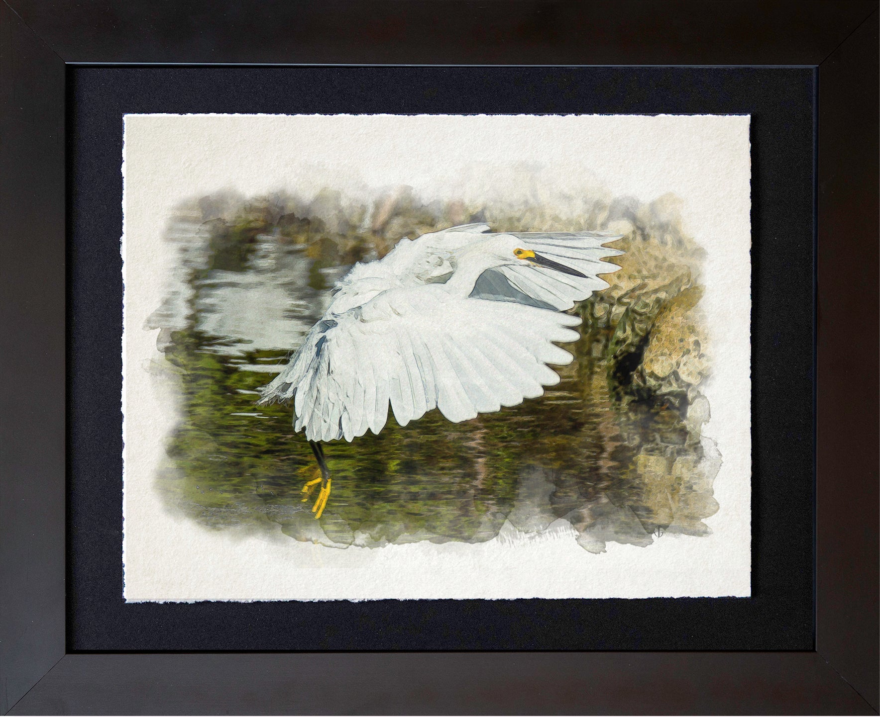 Sanibel Island, FL | Snowy Egret - Coming in Hot