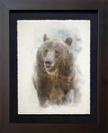 San Diego Zoo, CA | Grizzly