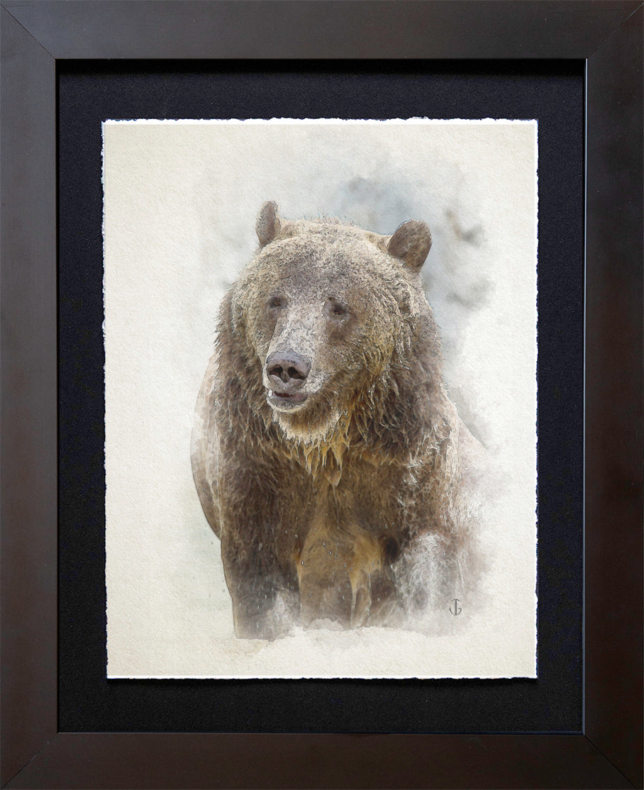 San Diego Zoo, CA | Grizzly
