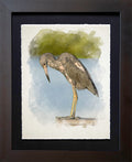 Sanibel Island, FL | Tri-Color Heron