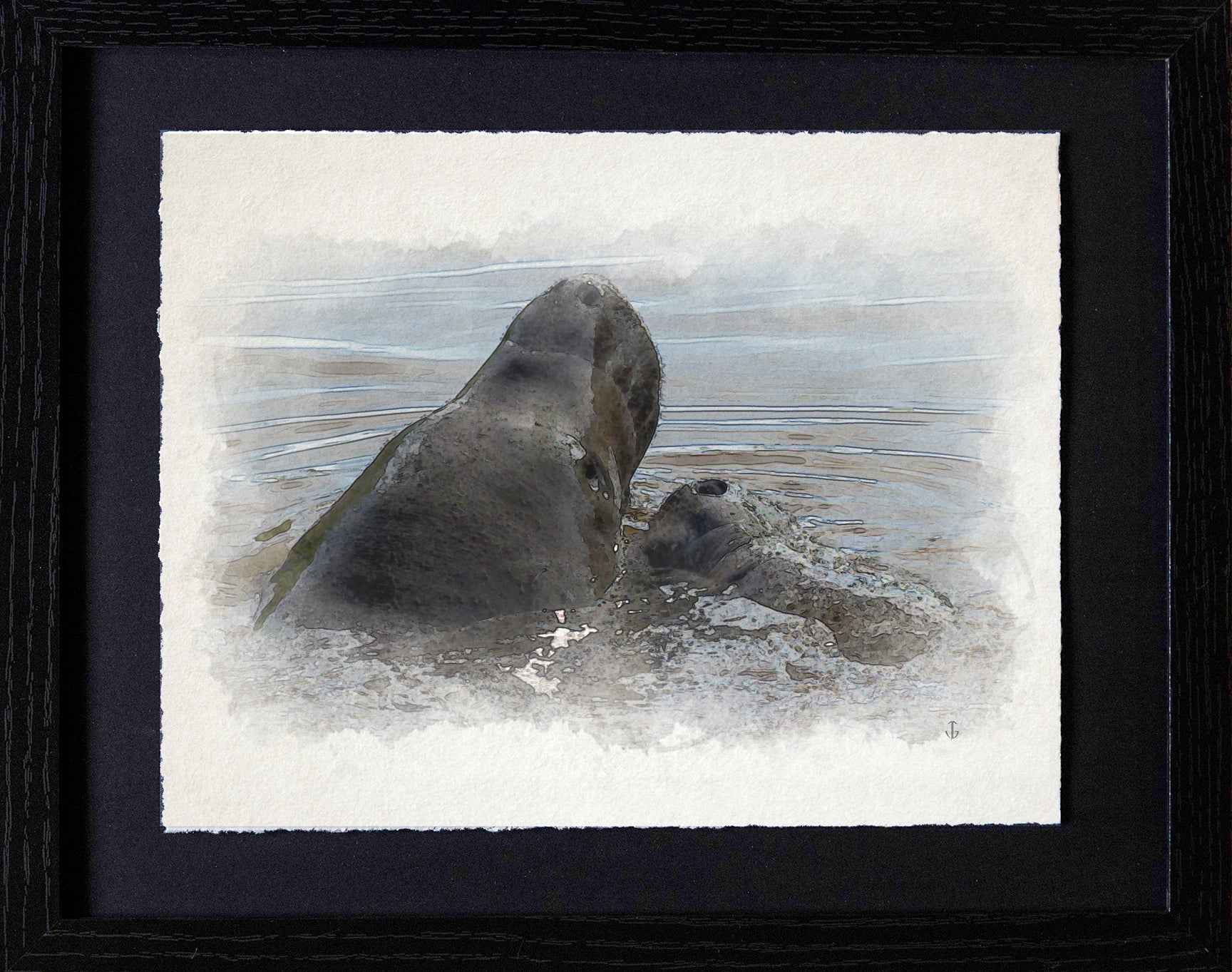 Sanibel Island, FL | Manatees Surface Study