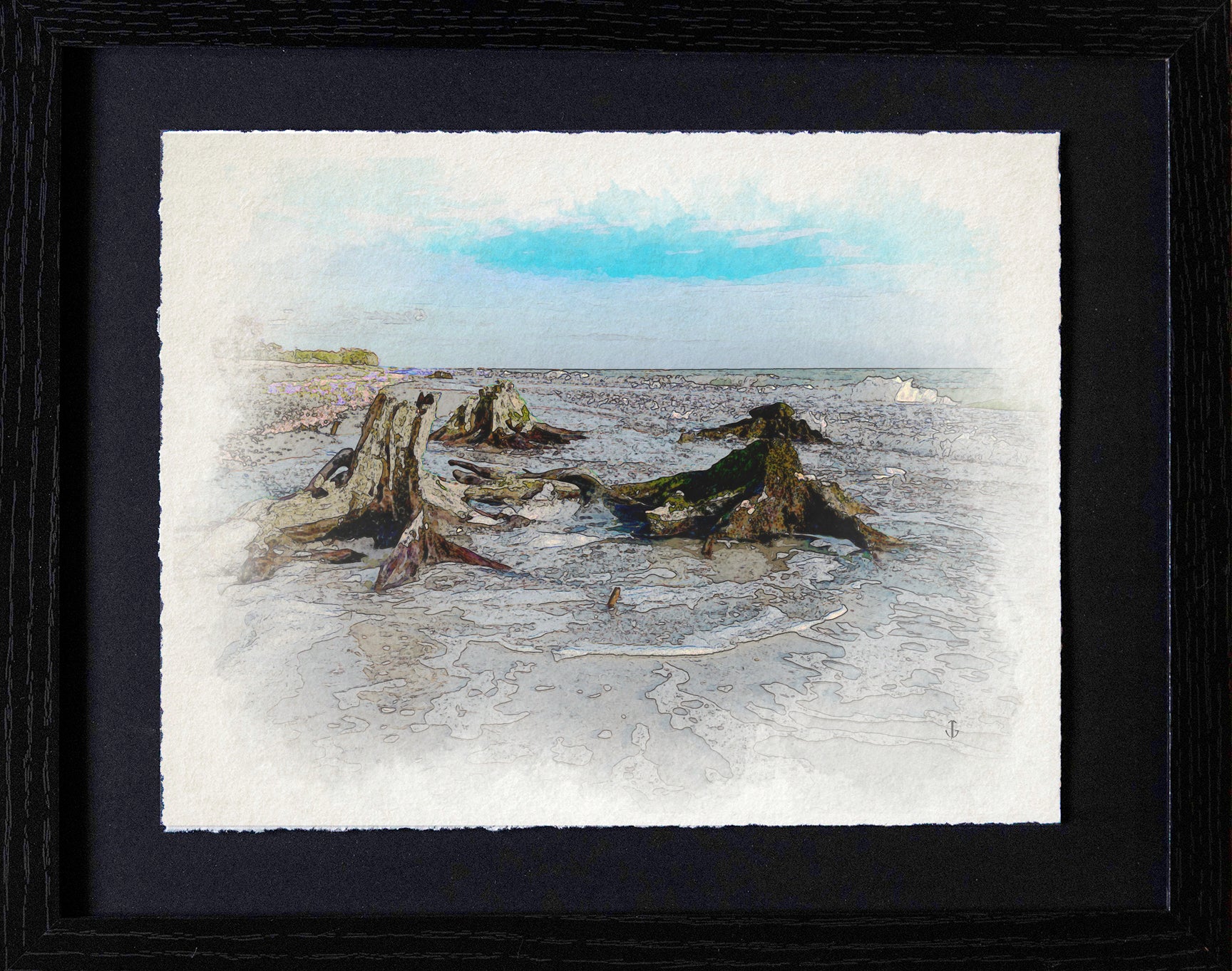 Sanibel Island, FL | Driftwood at Low Tide