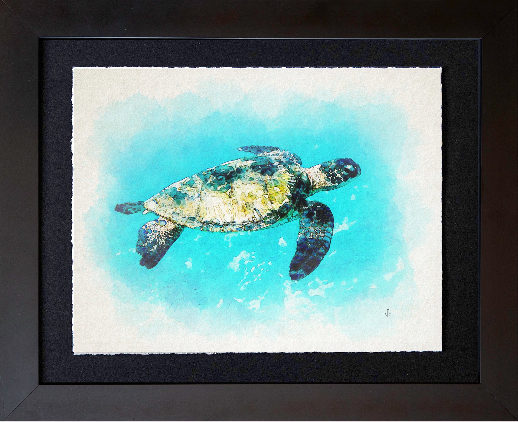 Maui, HI | Sea Turtle 2 at Kapalua Bay