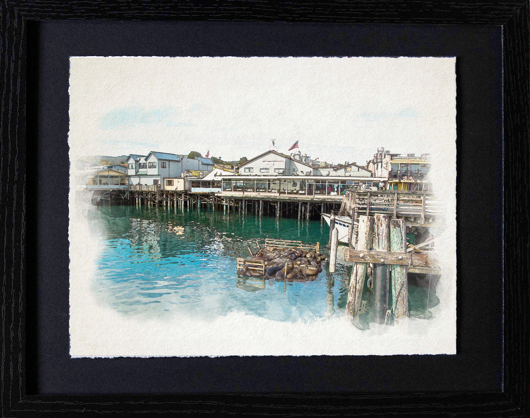 Monterey, CA | Wharf Sea Lions