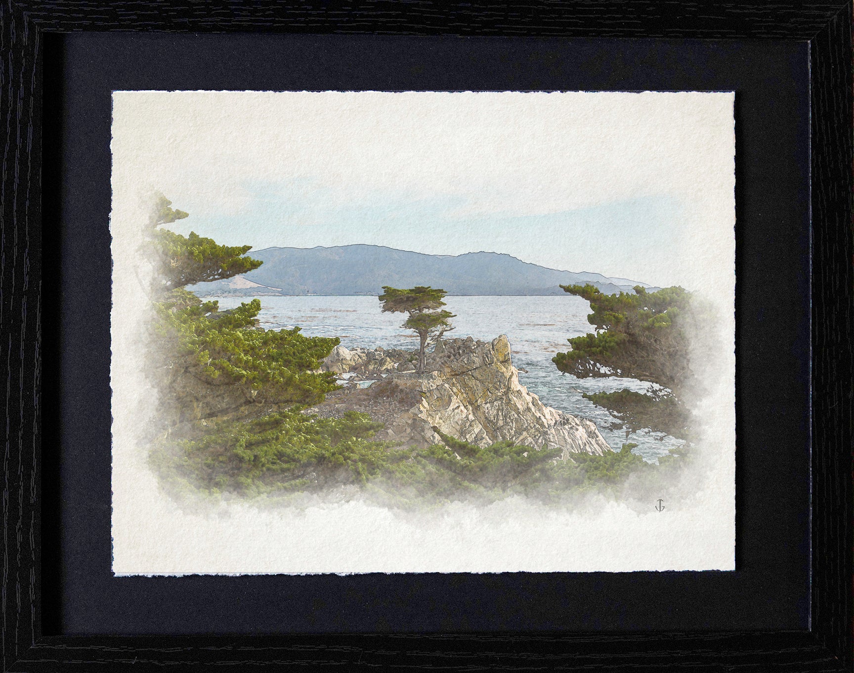 Highway 1, CA | Lone Cypress