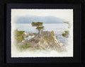 Highway 1, CA | Lone Cypress 2