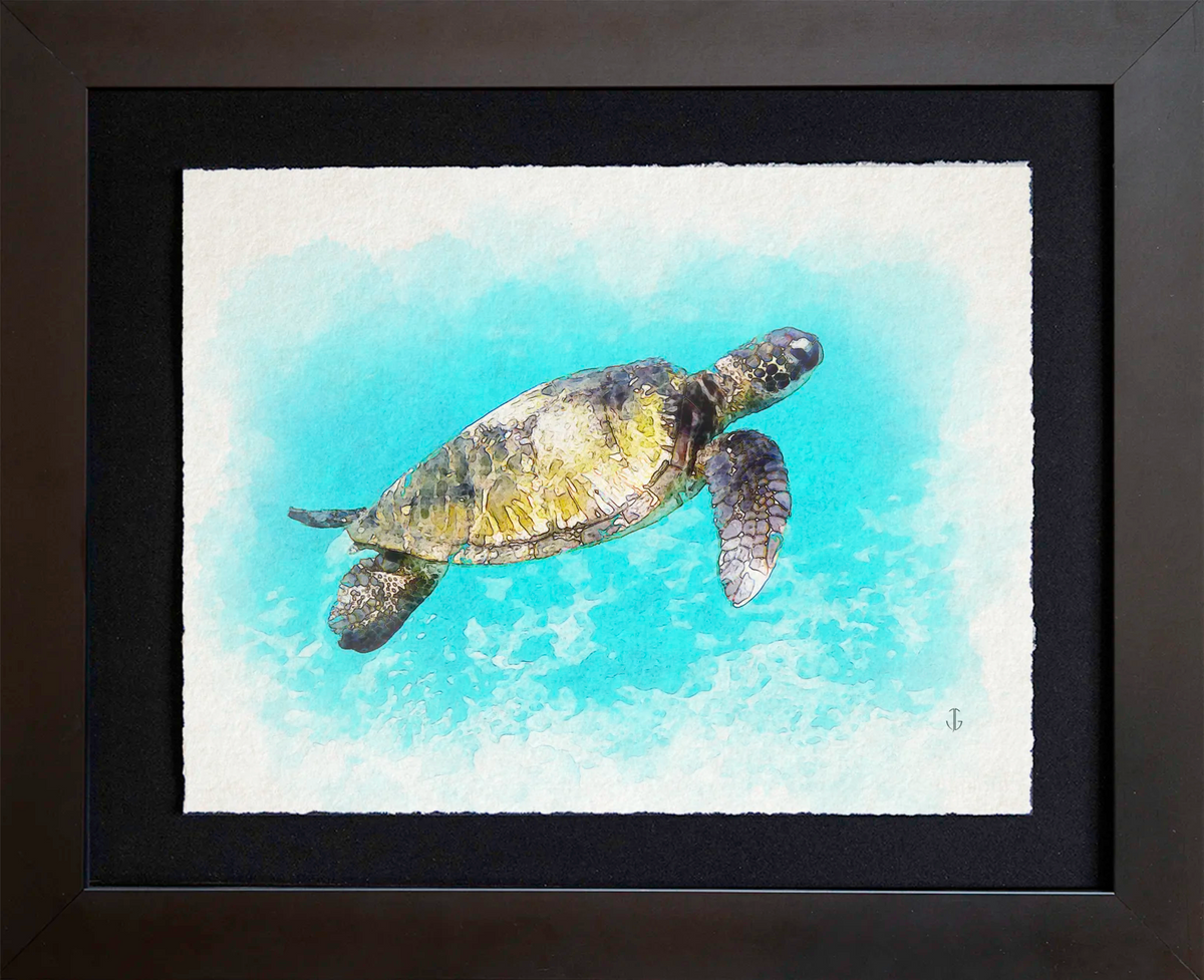 Maui, HI | Sea Turtle 3 at Kapalua Bay