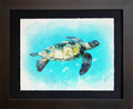 Maui, HI | Sea Turtle 2 at Kapalua Bay