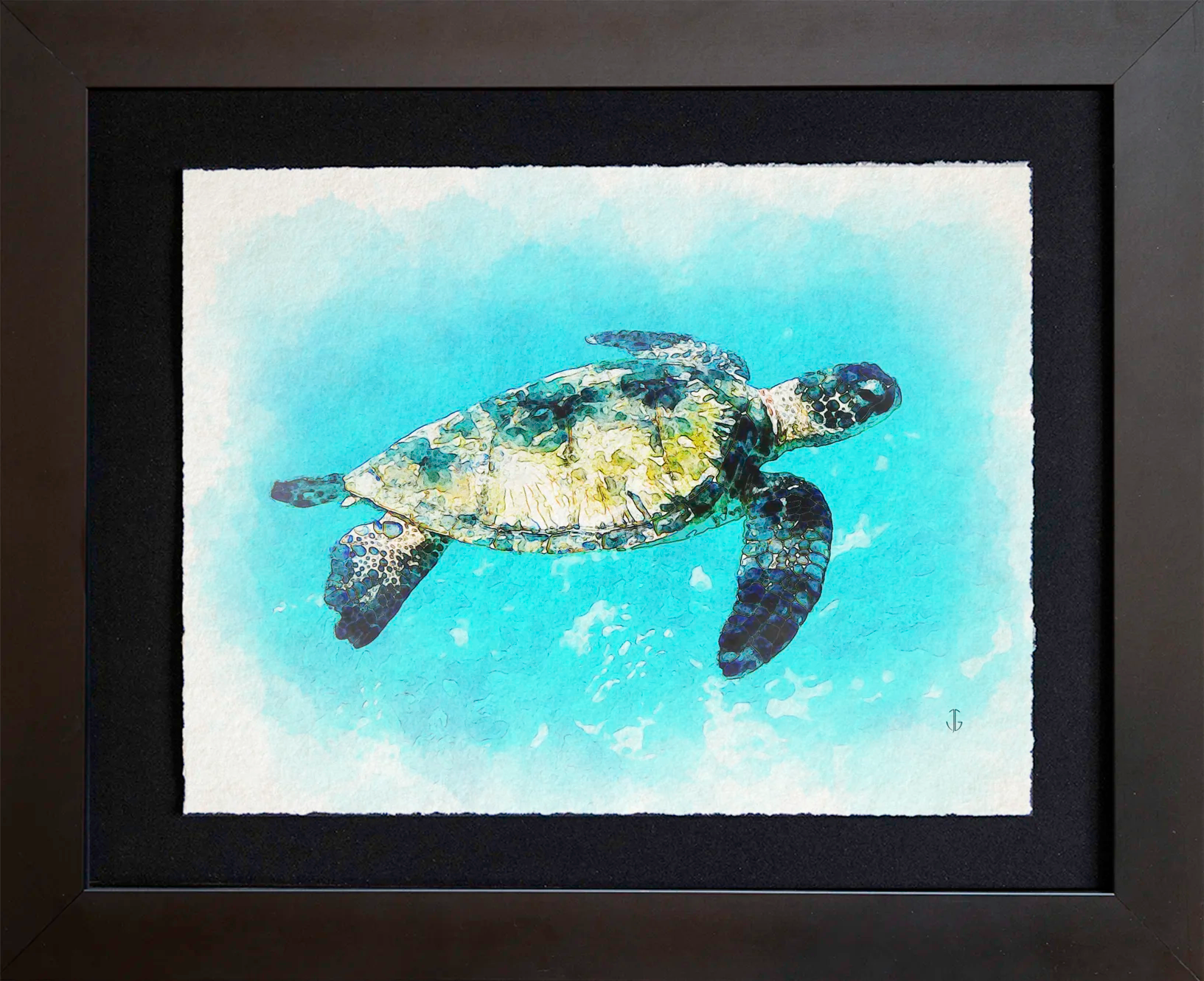 Maui, HI | Sea Turtle 2 at Kapalua Bay