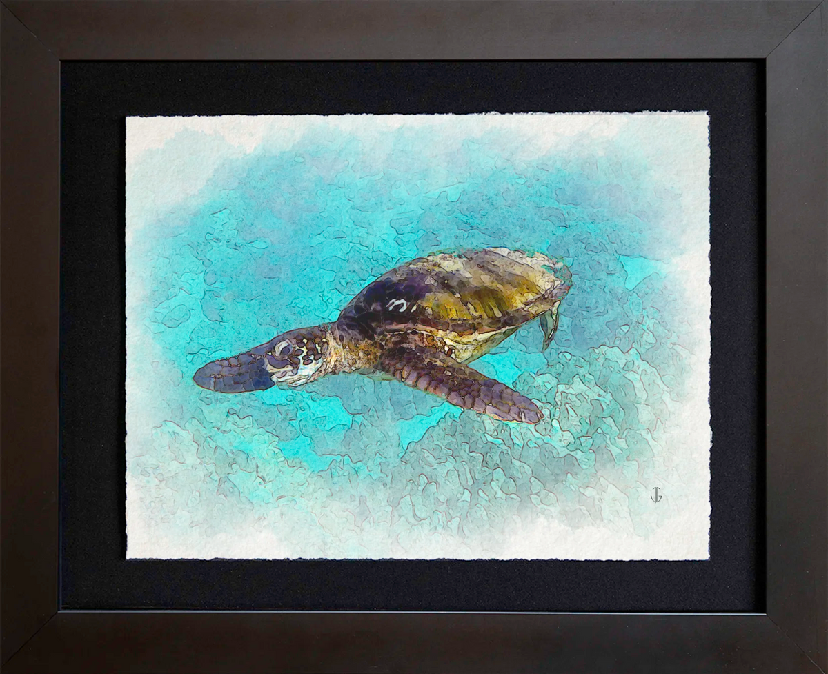 Maui, HI | Sea Turtle at Kapalua Bay